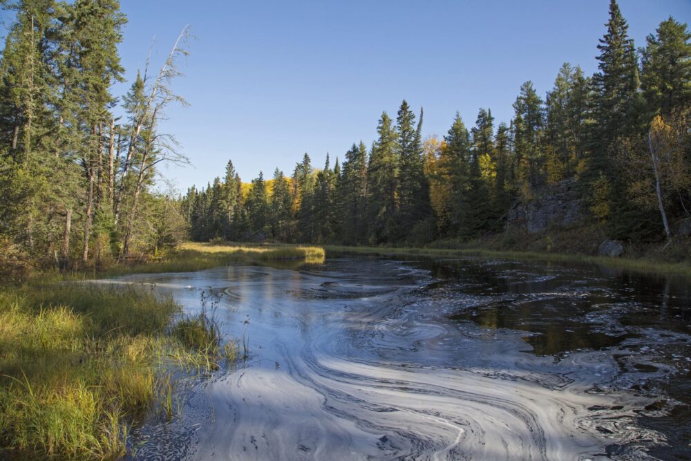 Boreal: It’s time to put a value on Canada’s Natural Assets, before it’s too late