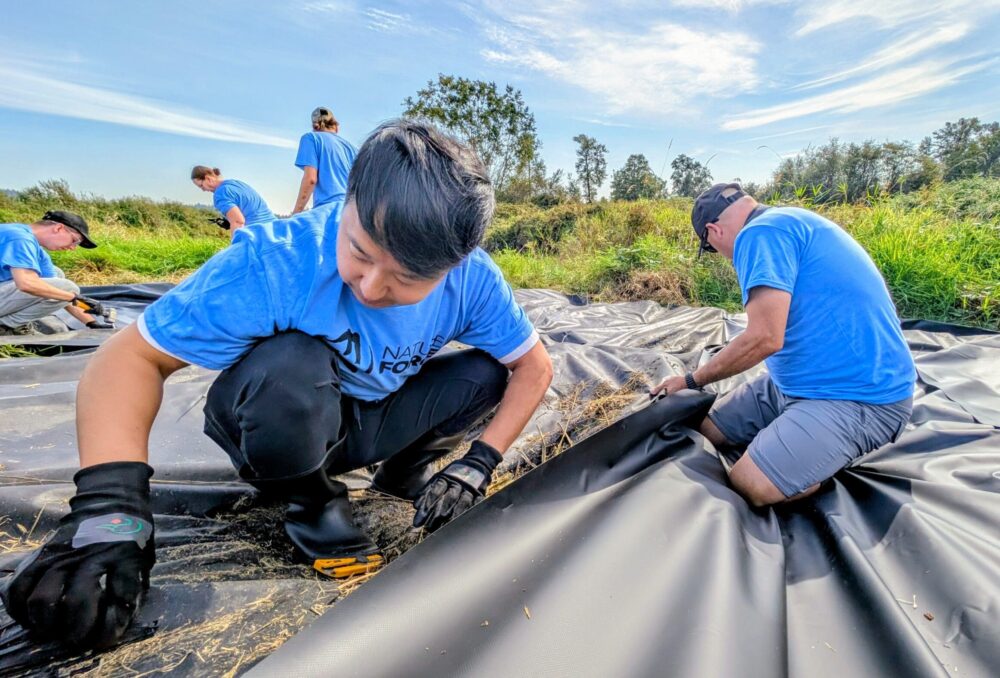 Volunteers with The Nature Force help install a benthic barrier at Pitt Addington Point in B.C.'s Lower Mainland.