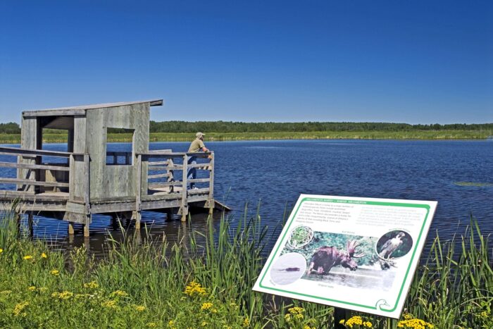 Viewing platform at Hilliardton Marsh.
