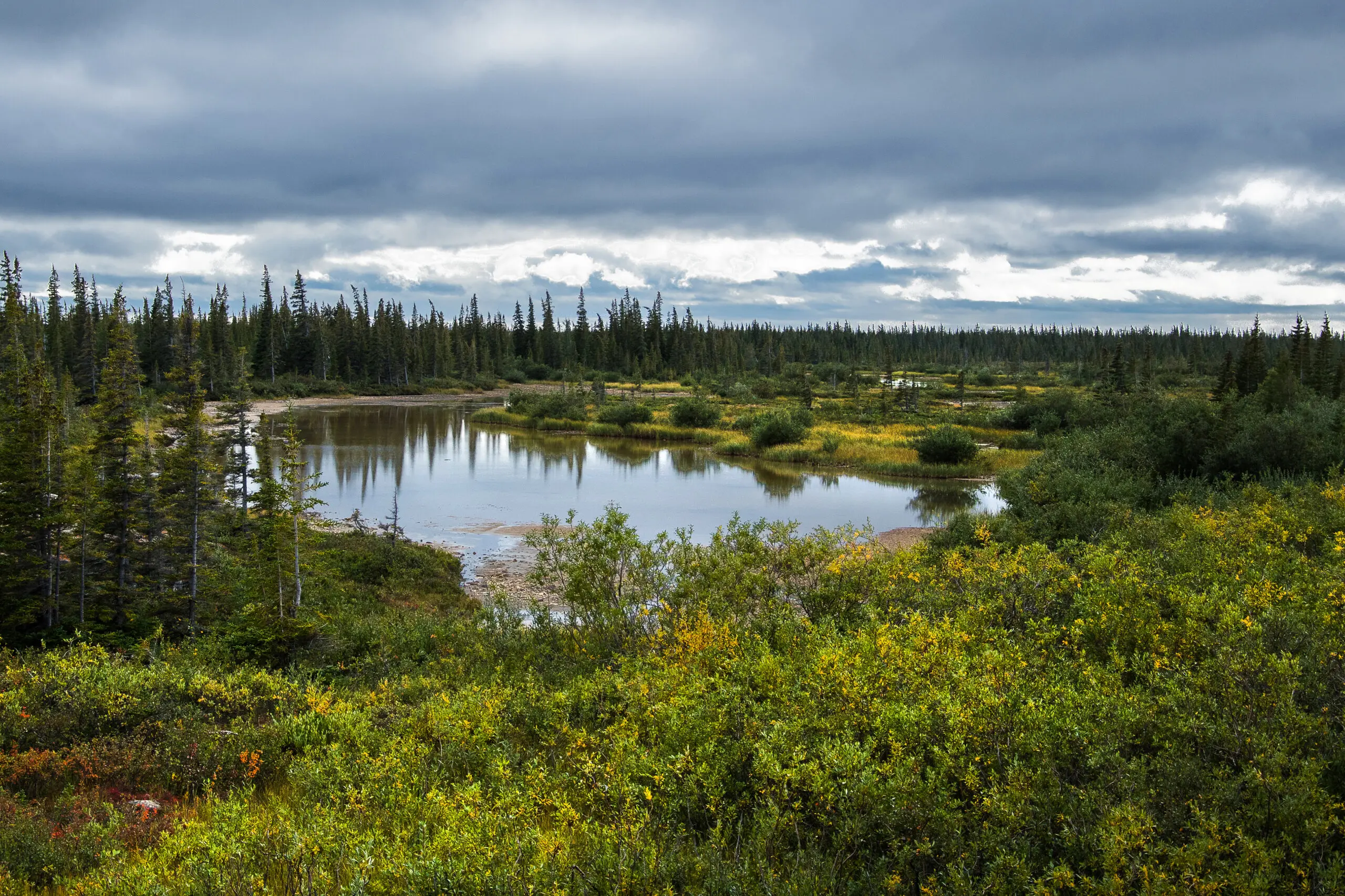 A subarctic boreal wetland.