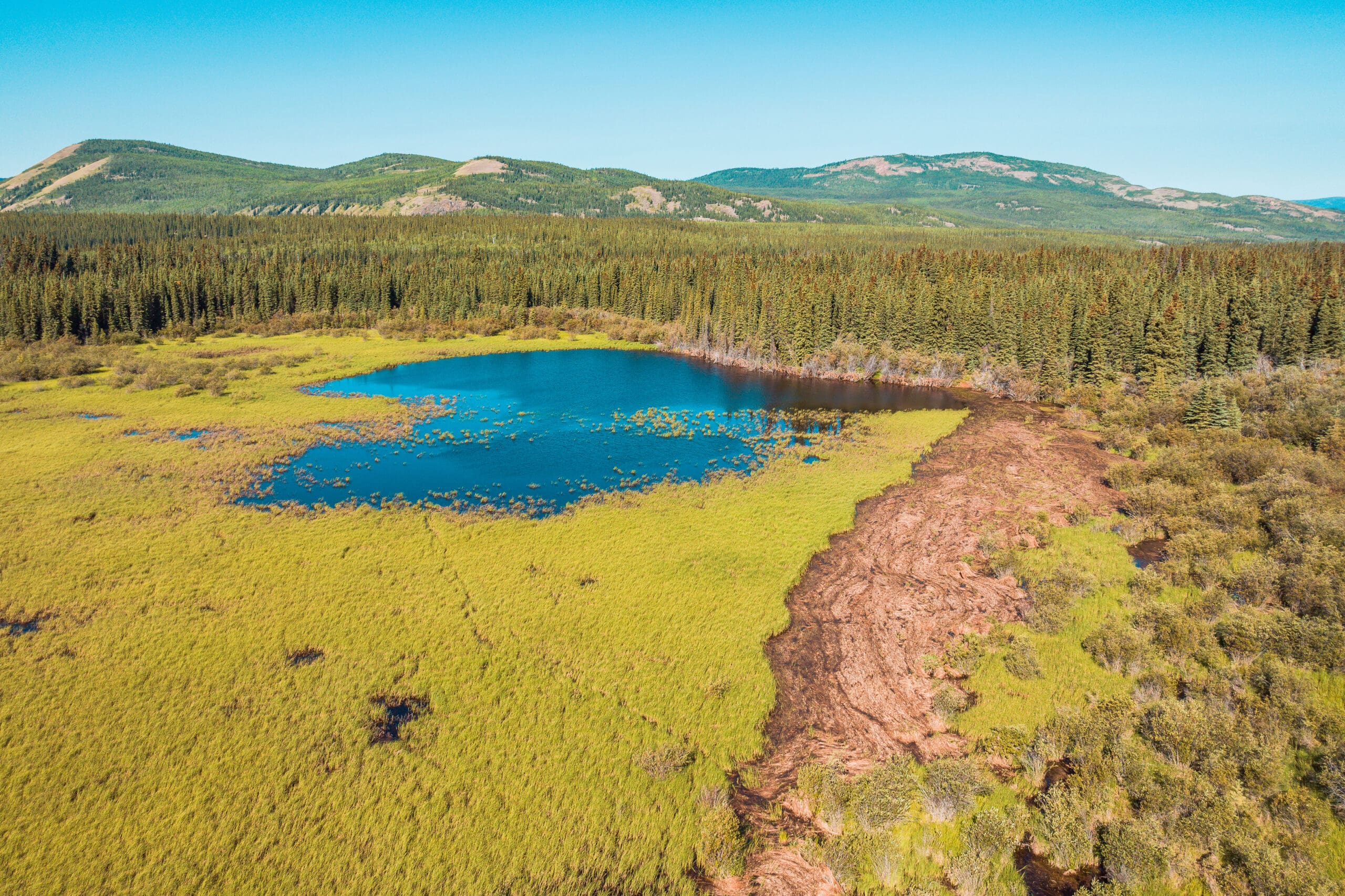 Overhead view of boreal landscape with lake.
