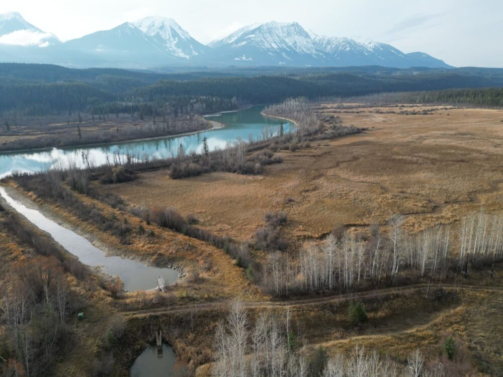 Marsh Floodplain Reconnected to Columbia River