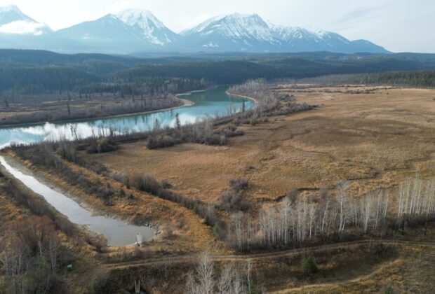 Marsh Floodplain Reconnected to Columbia River