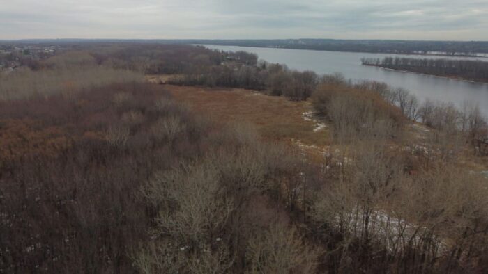 Aerial view of the site.