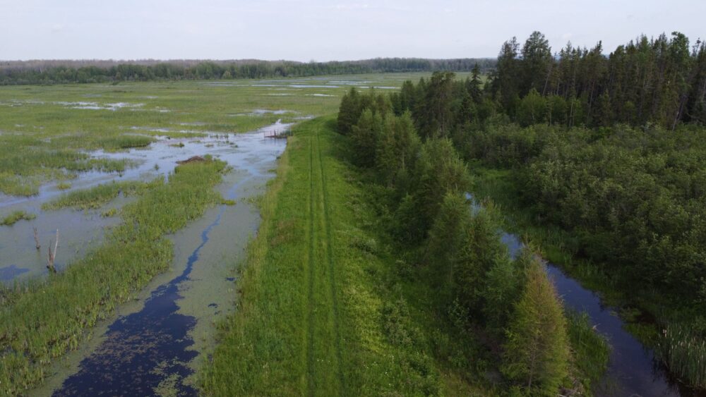 Wetlands and the community benefit from youth workers
