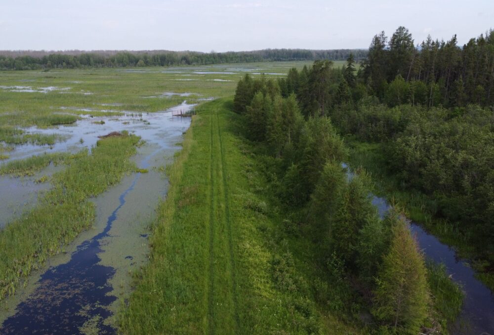Aerial photo of Hilliardton Marsh.