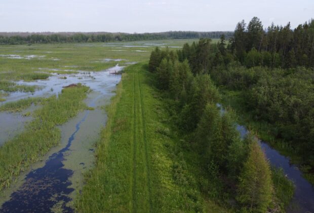 Dam Safety Saves the Day