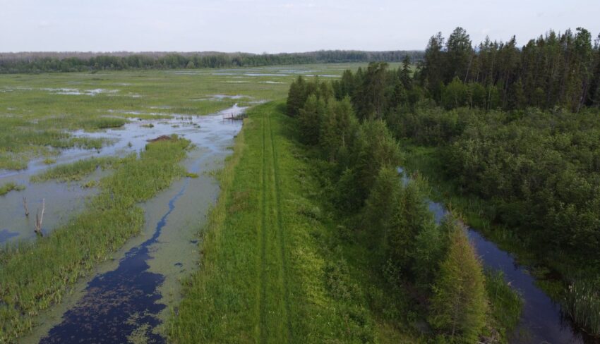 Dam Safety Saves the Day
