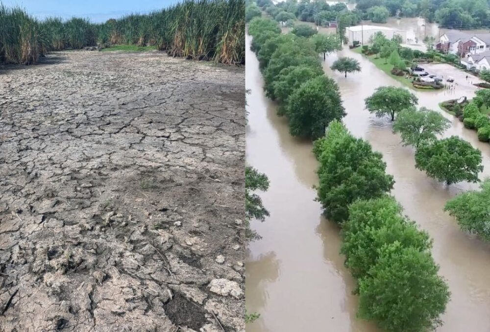 A juxtaposition of the dry and cracked soils of a low water period at Serpentine Wildlife Management Area in Surrey, B.C. (left), with a water-inundated Canadian community (right) - do we have too much water, or not enough?