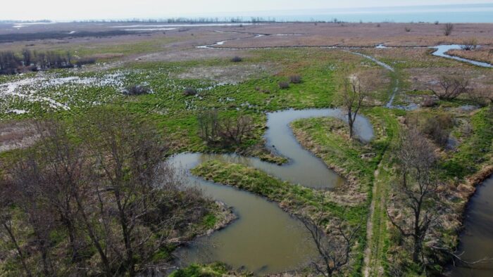 Aerial of Big Creek National Wildlife Area.