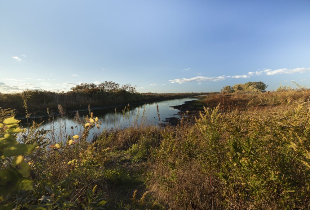 Big Creek National Wildlife Area.