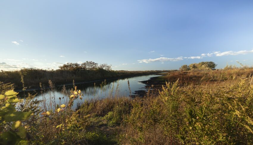 Restoring Big Creek National Wildlife Area