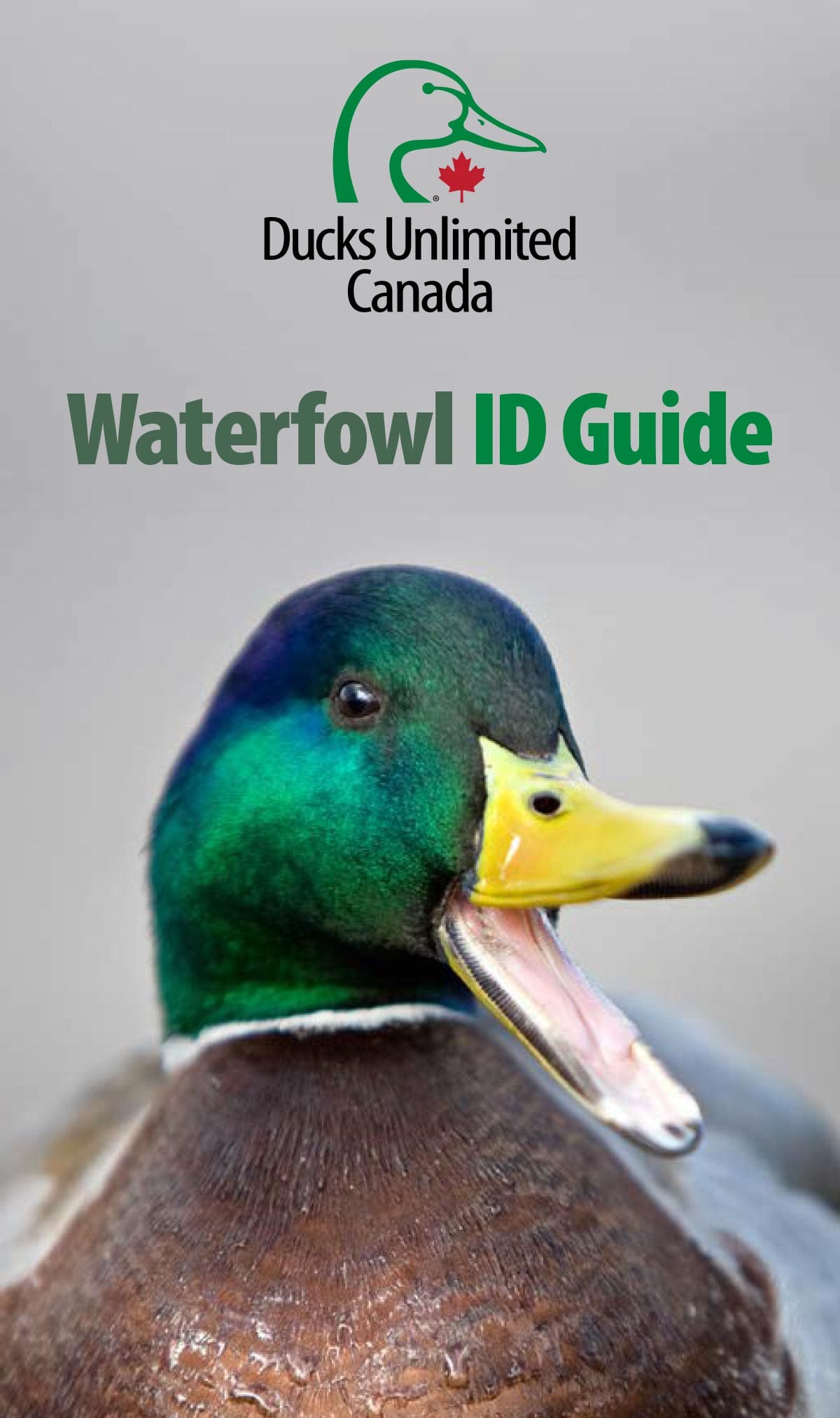 Ducks Unlimited Canada Waterfowl ID Guide book cover