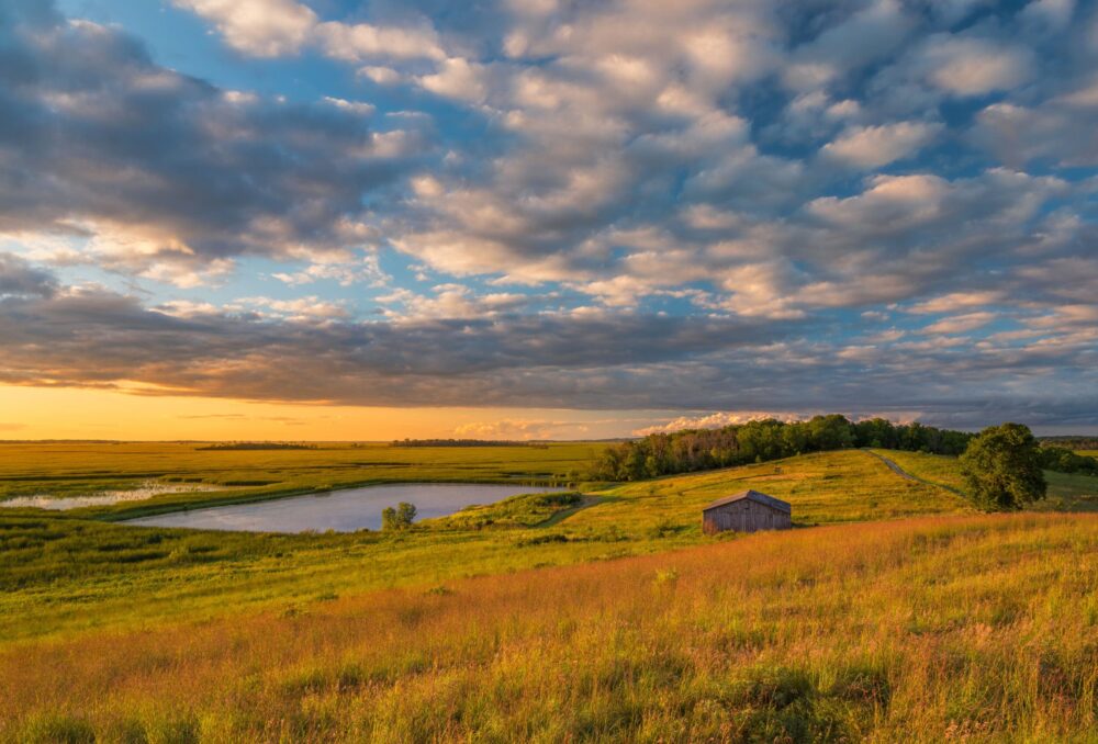 Prairie/parkland wetland scenic.
