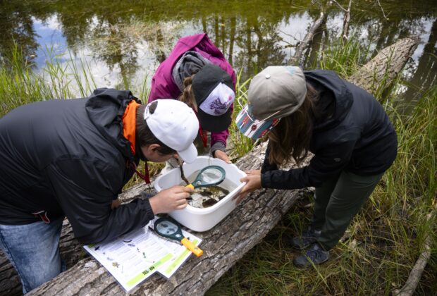 Wetland Field Trip Teacher Resource Pack