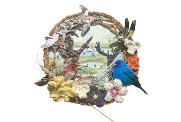 Meet the winners of the first annual Art & Science Competition from the Wetland Centres of Excellence program