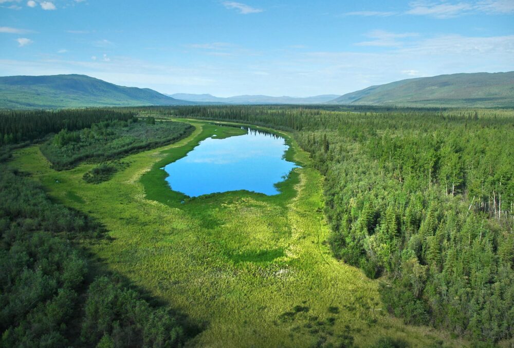 A remote Yukon wetland reflects the sky, surrounded by mountains and greenery of the northern boreal forest.