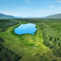 The boreal region: Canada’s great green heart