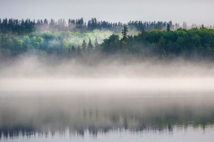 Water defines the boreal region. Millions of lakes, rivers and wetlands form the headwaters of many of Canada’s major watersheds.