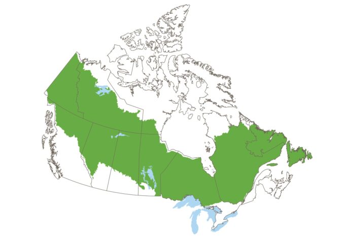 DUC’s operations in Canada’s boreal forest stretch from the Yukon to Newfoundland, an area that covers nearly 1.3 billion acres (526 million hectares).