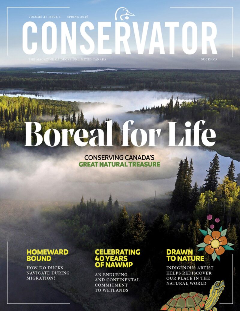 Cover Stories