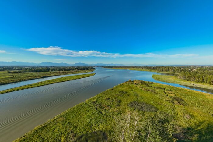 Fraser River Delta aerial.