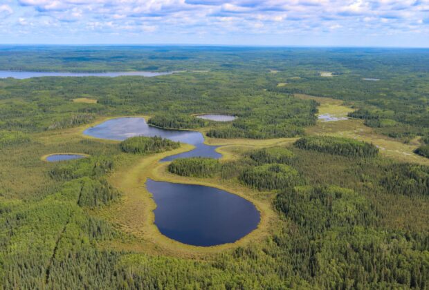 AI-driven mapping helps advance wetland inventory across Alberta