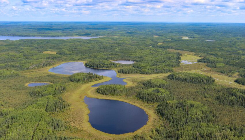 AI-driven mapping helps advance wetland inventory across Alberta