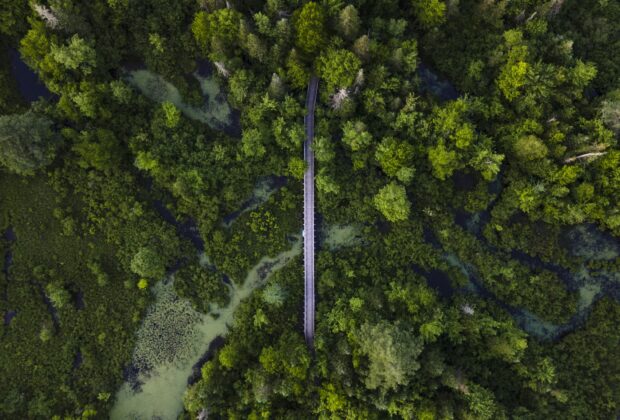 Through the lens: Capturing the hidden treasures of wetlands A guide for budding photographers
