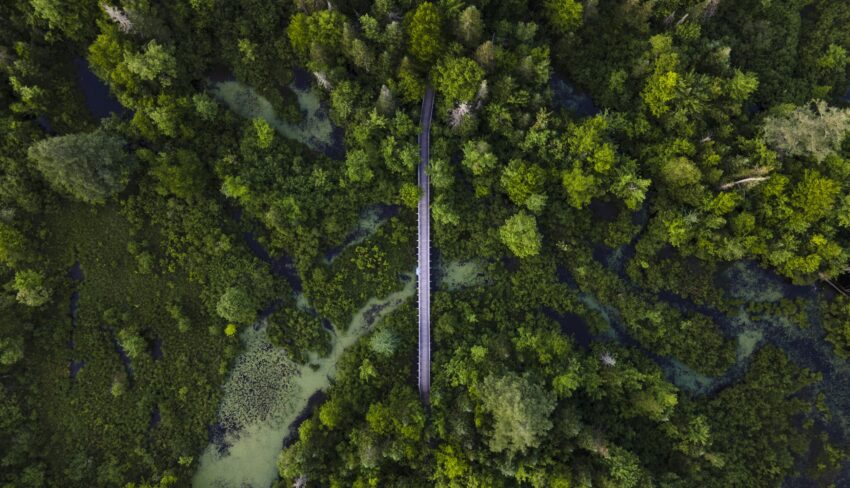 Through the lens: Capturing the hidden treasures of wetlands A guide for budding photographers
