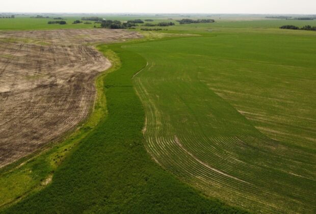 Restored wet areas show strong forage potential on marginal farmland