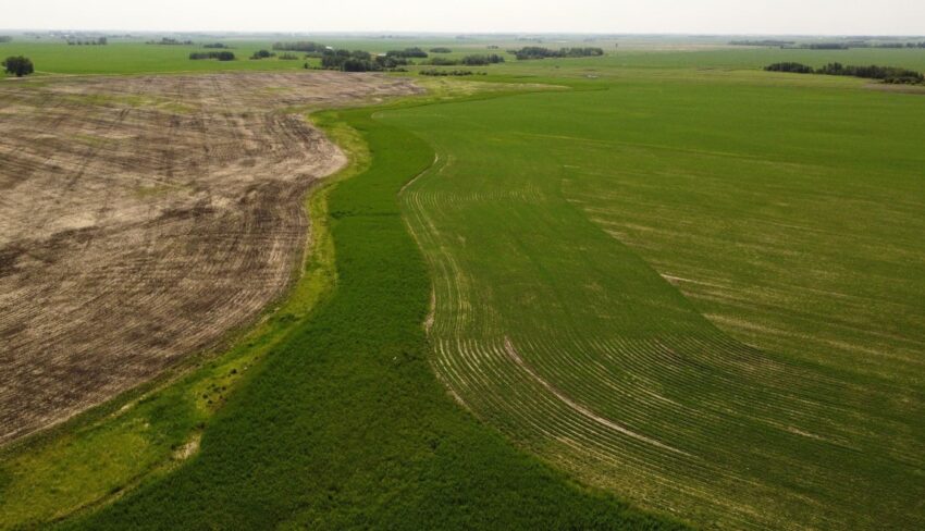 Restored wet areas show strong forage potential on marginal farmland