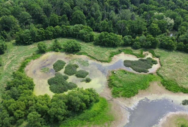 Ontario Conservation Easements