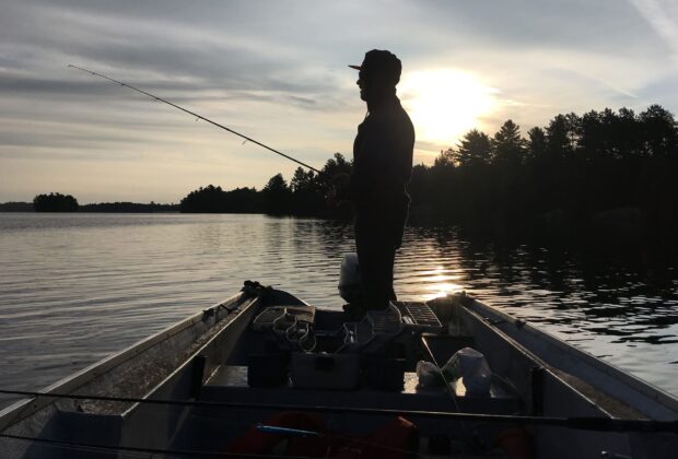 Five markers of healthy fish habitat—that actually start on land