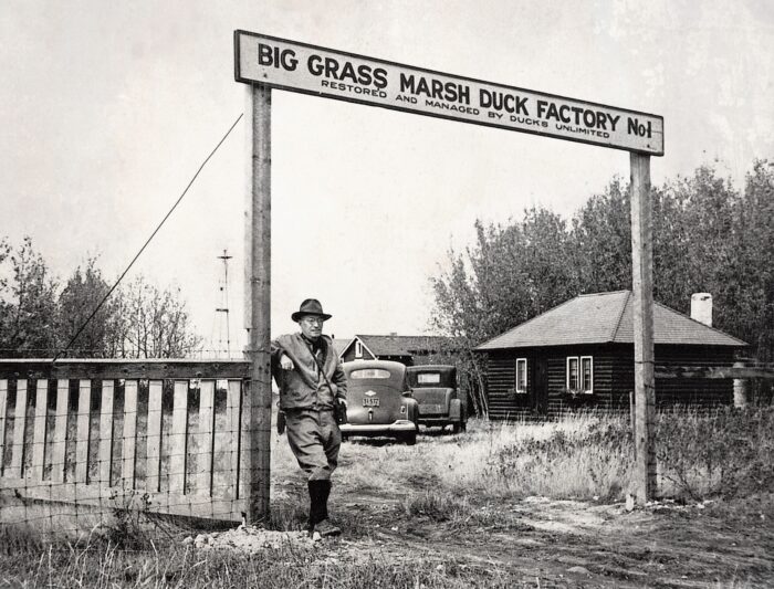 The early days of DUC in Canada (Manitoba) in 1938. 