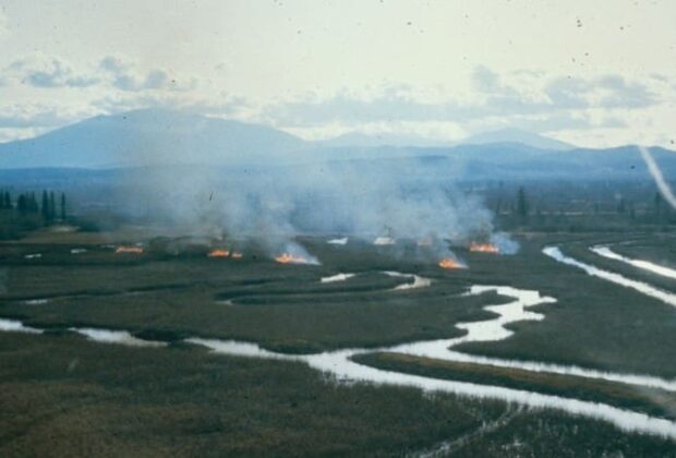 How do wildfires affect waterfowl?