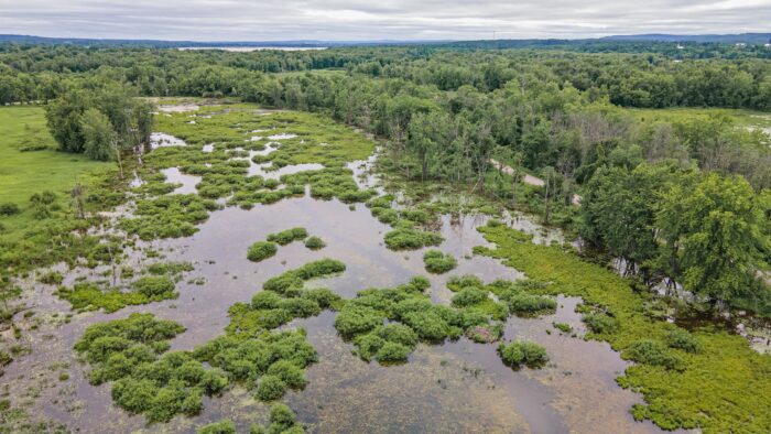 Marais aux Rubaniers, in the Outaouais region, which is now part of Parc national de Plaisance.
