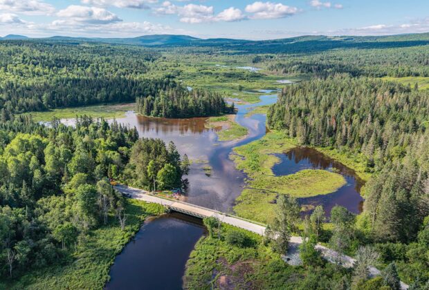 50 Years of Action for Quebec’s Wetlands