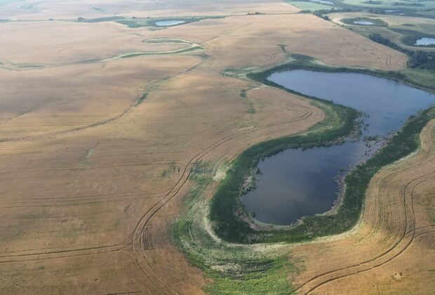 Restoring a Prairie Legacy, One Wetland at a Time