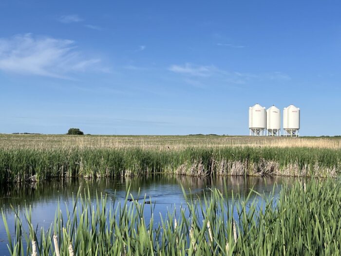 Wetland at Burgess RCLP project near agricultural storage tanks. Credit: Scott Henowitch
