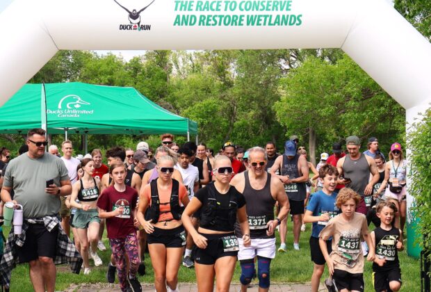 Duck and Run 2026: A flyaway success