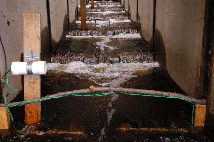 Pool and weir style fishway at DUC project Front Lake, a long-term research site that was rebuilt to improve fish passage during the study.