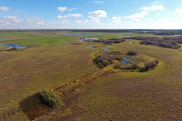 Wetland restoration in the Assiniboine River watershed, Saskatchewan.