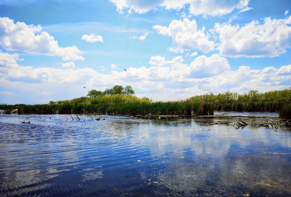 Oak Hammock Marsh on a summer day.