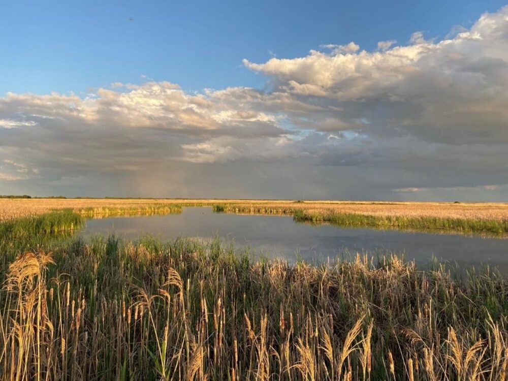 Ducks Unlimited Canada secures East Meadows – Manitoba’s largest ever conservation land purchase