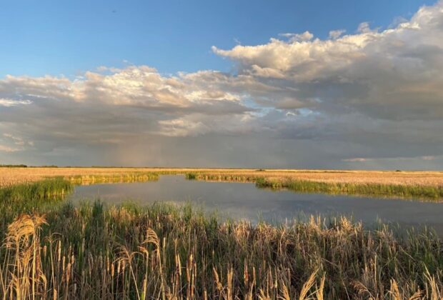 Ducks Unlimited Canada secures East Meadows – Manitoba’s largest ever conservation land purchase