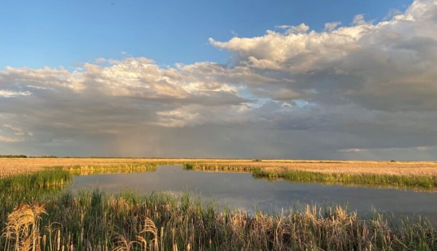 East Meadows Ranch