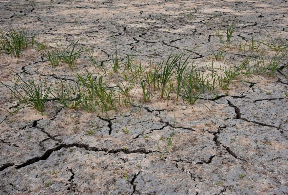 As wetlands are drained or altered, that natural buffering system begins to break down.