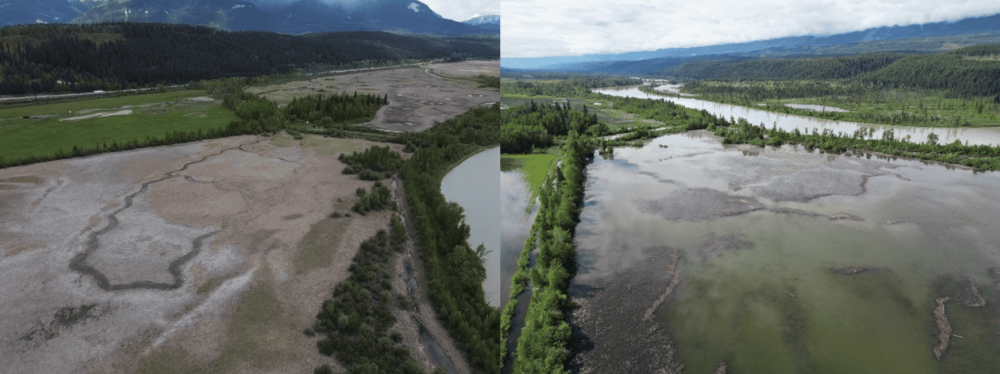 Ducks Unlimited Canada restoration projects tested by recent flooding