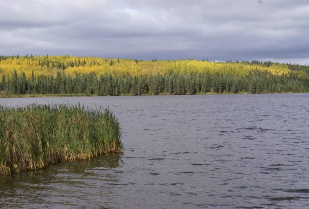 Infrastructure assessment at Inga Lake continues this fall, expect water level changes